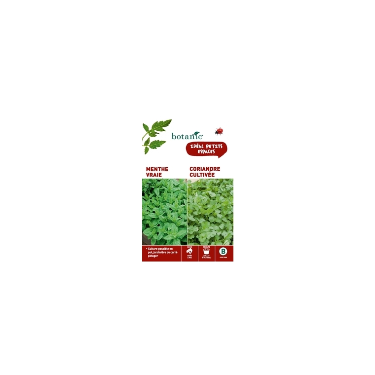 Menthe vraie + coriandre cultivee Duo aromatique