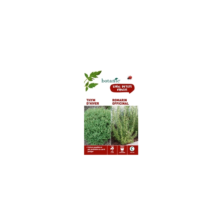 Thym d'hiver + romarin officinal Duo aromatique