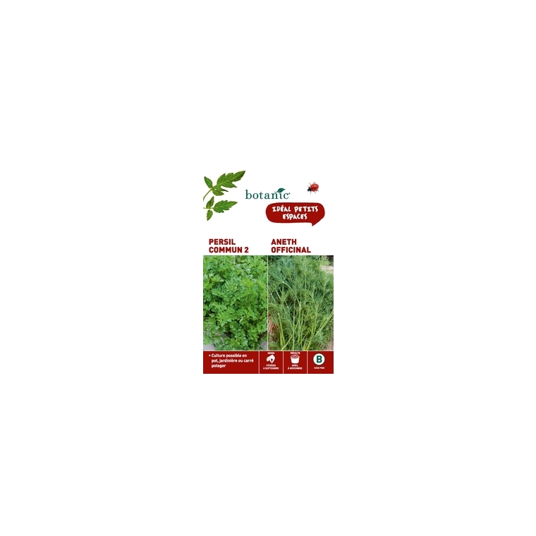 Persil commun 2  +  aneth officinal Duo aromatique