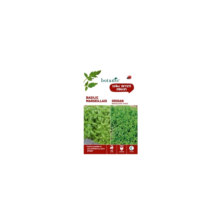 Basilic marseillais  +  origan Duo aromatique