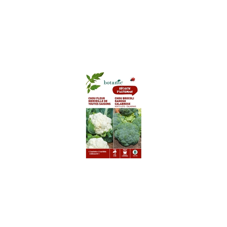 Chou fleur merveille de toutes saisons  +  chou brocoli ramo Duo potagere