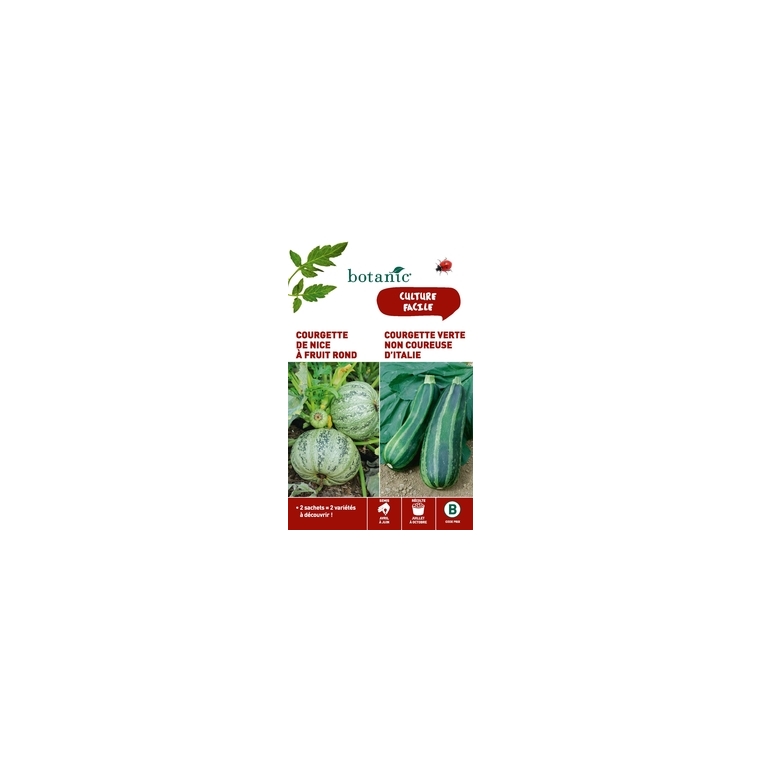 Courgette de nice a fruit rond + courgette verte non coureuse Duo potagere