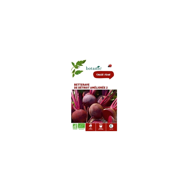 Betterave de Détroit Améliorée 2 AB BIO