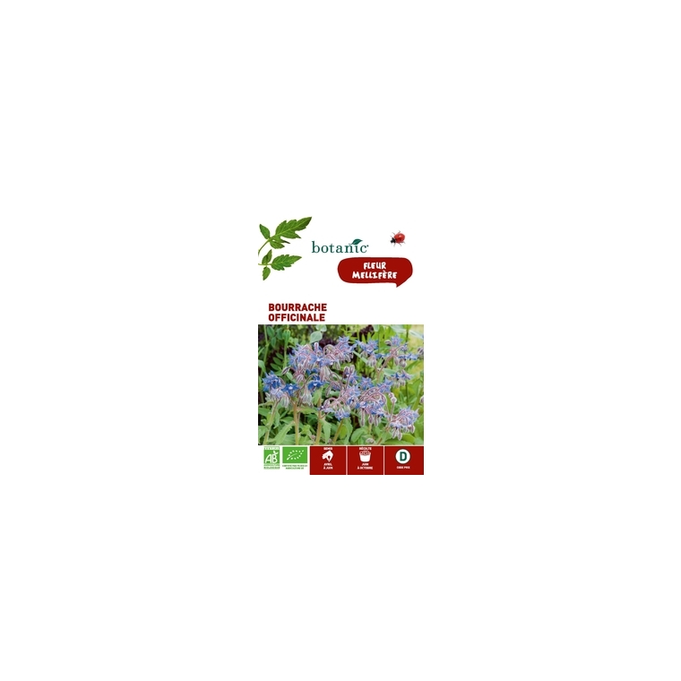 Bourrache officinale BIO