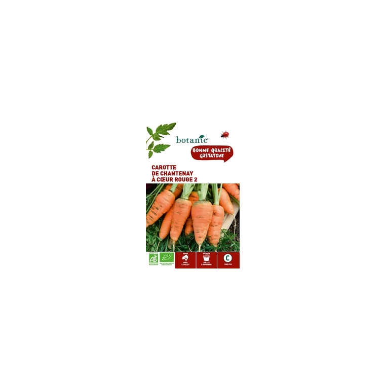Carotte de Chantenay à Cœur Rouge 2 AB BIO