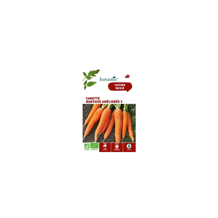 Carotte Nantaise Améliorée 3 AB BIO