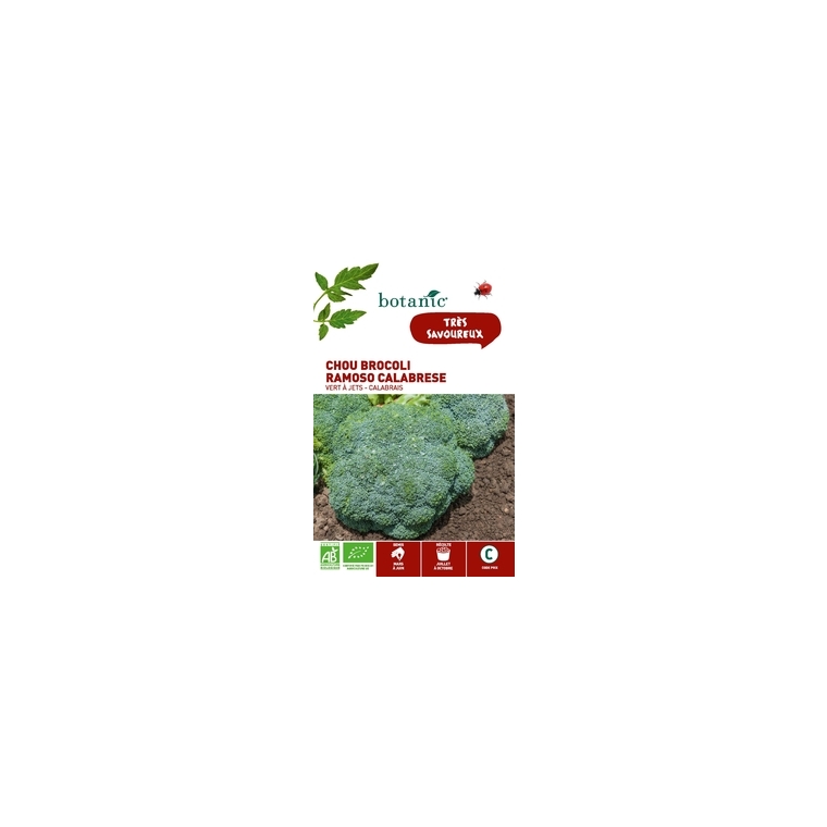 CHOU BROCOLIS VERT CALABRAIS RAMOSO  BIO