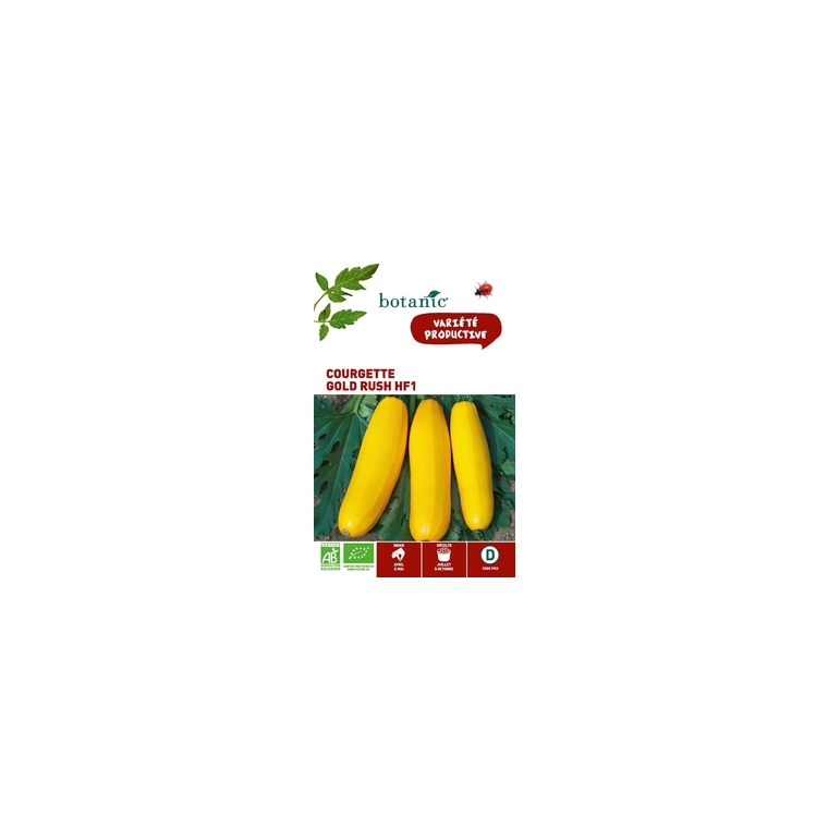 Courgette Gold Rush HF1 AB Bio