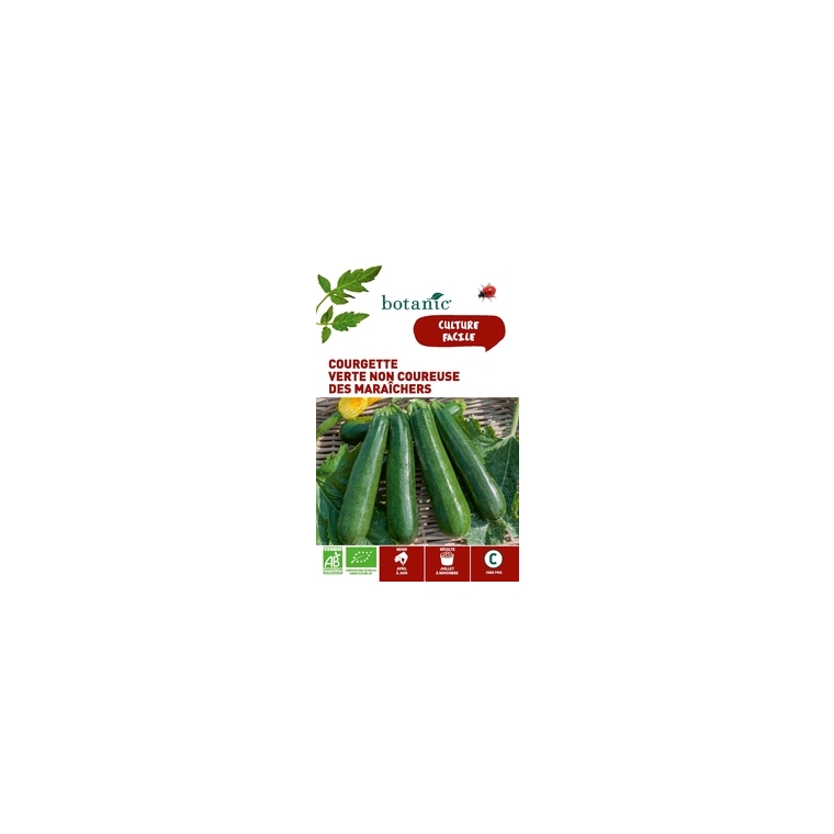 Courgette Verte Non Coureuse des Maraîchers AB Bio
