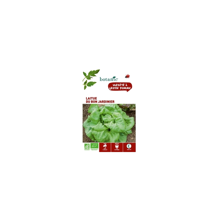 Laitue Du Bon Jardinier AB BIO