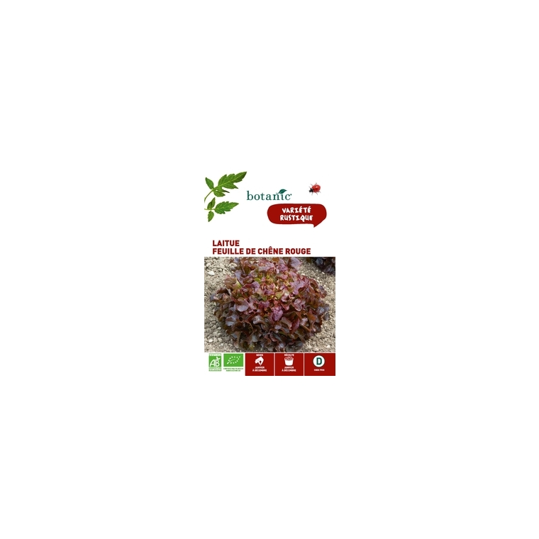 Laitue Feuille de Chêne Rouge AB BIO