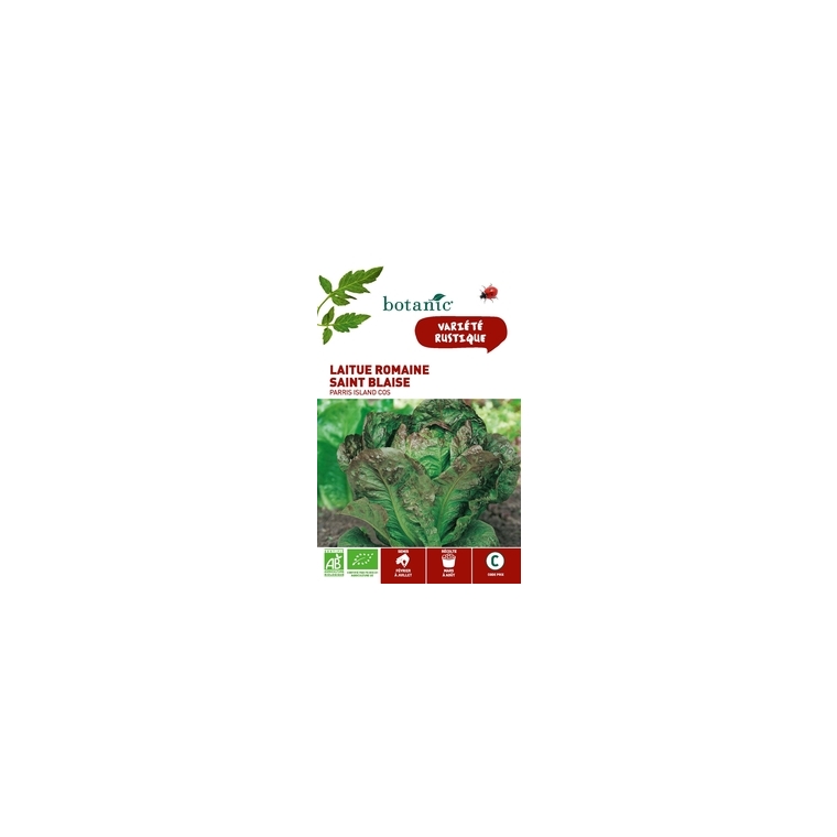 Laitue Romaine Saint Blaise Parris Island Cos AB BIO