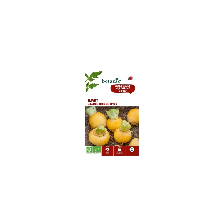 Navet Jaune Boule d’Or AB BIO