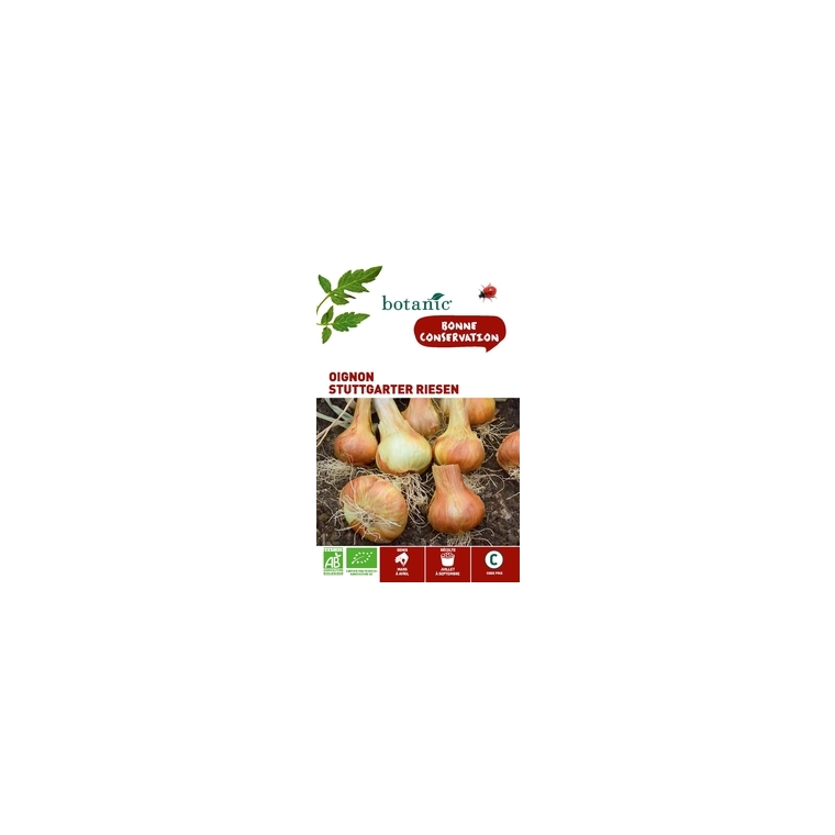 Oignon Stuttgarter Riesen AB Bio