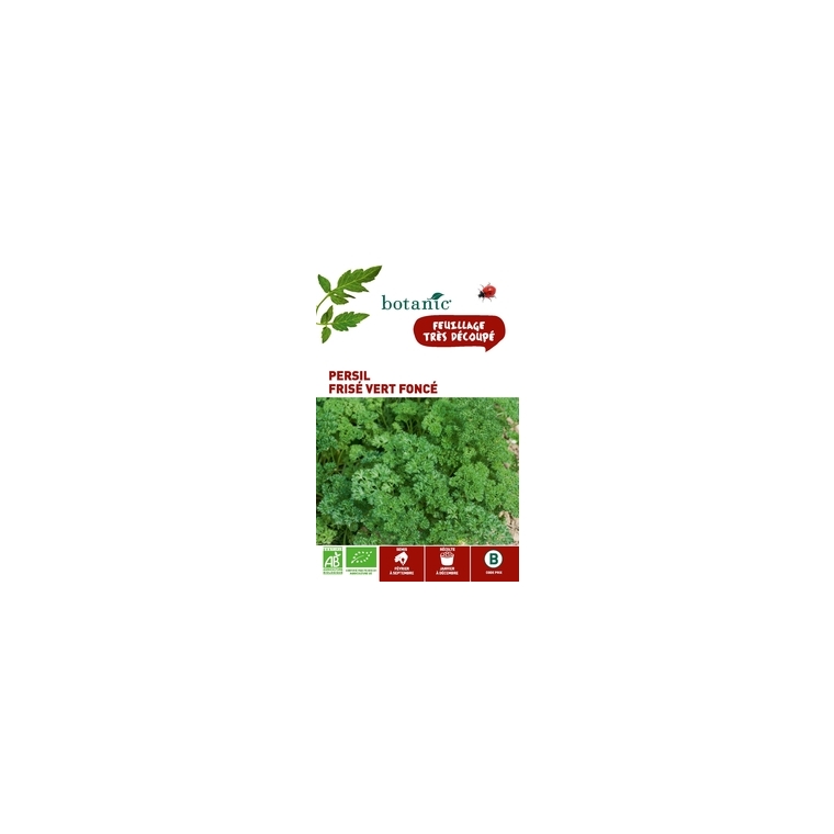 Persil Frisé Vert Foncé AB BIO