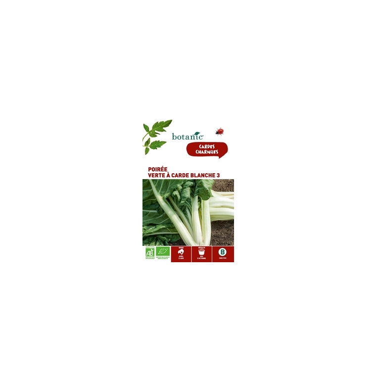 Poirée Verte à Carde Blanche 3 AB BIO