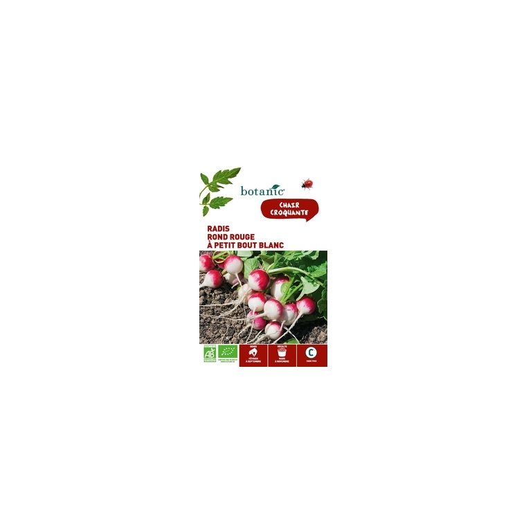 Radis Rond Rouge à Petit Bout Blanc AB BIO