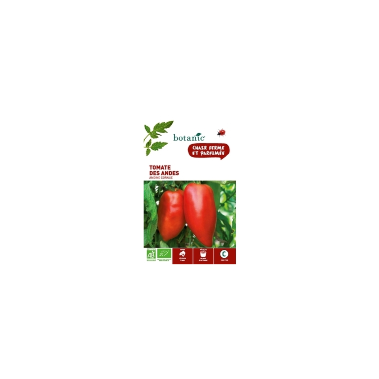 Tomate des Andes - Andine Cornue AB BIO
