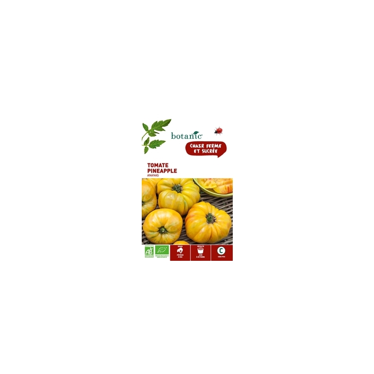Tomate Pineappleananas AB BIO