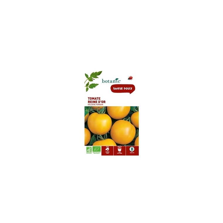 Tomate Reine d’Orgoldene Königin AB BIO