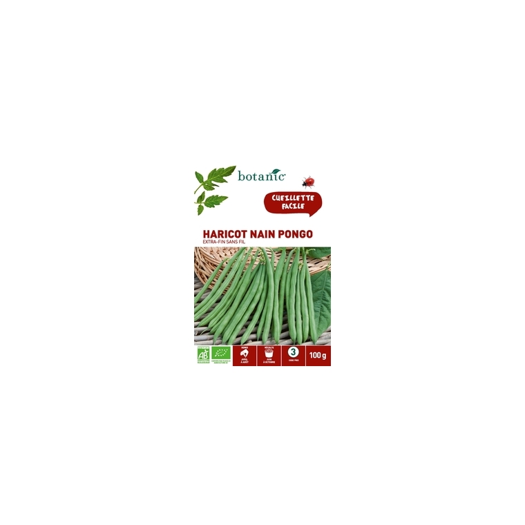 Haricot Nain Pongo Extra-Fin sans Fil AB 100 gr