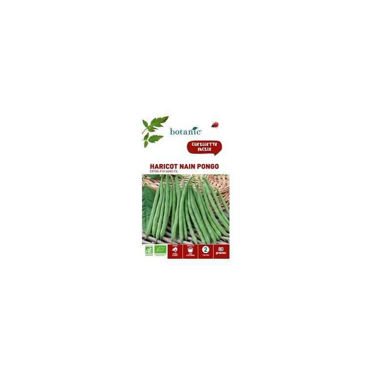 Haricot nain pongo extra-fin sans fil bio 80 Graines