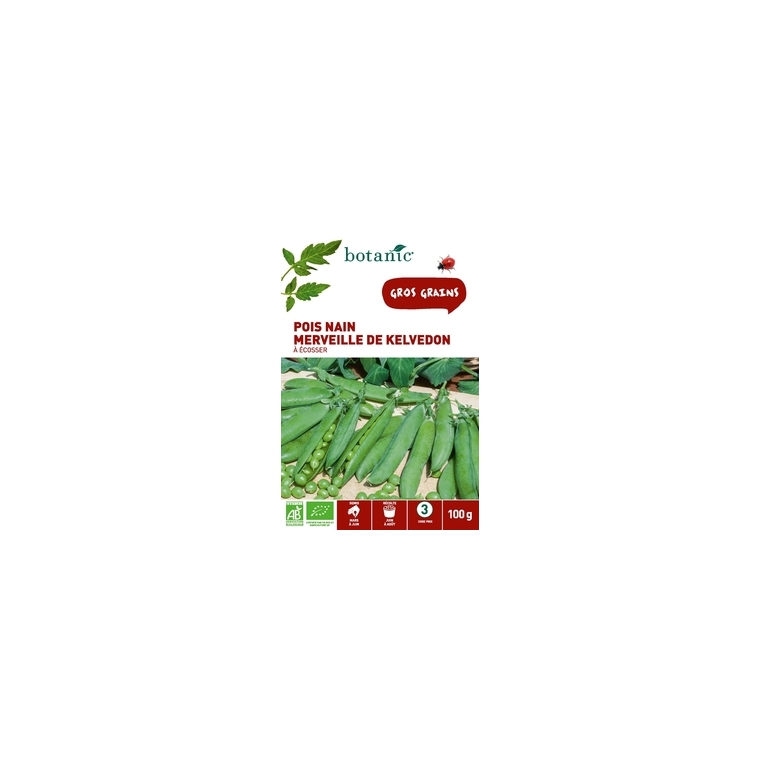 Pois nain merveille de kelvedon bio 100 gr