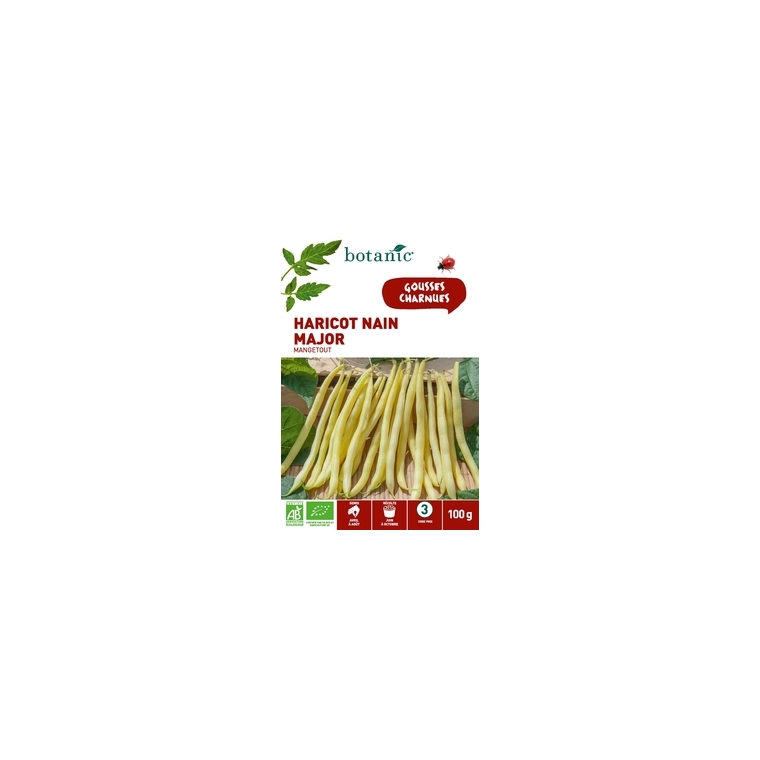 HARICOT MAJOR BIO 100 gr