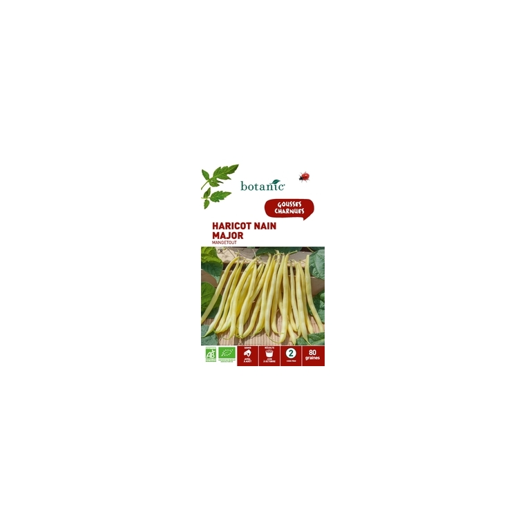 HARICOT  MAJOR BIO 80 graines