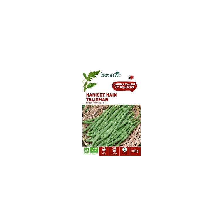 Haricot Nain Talisman Extra-Fin sans Fil AB 100 gr
