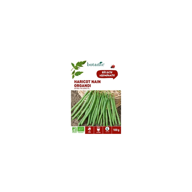 Haricot Nain Organdi Extra-Fin sans Fil AB 100 gr