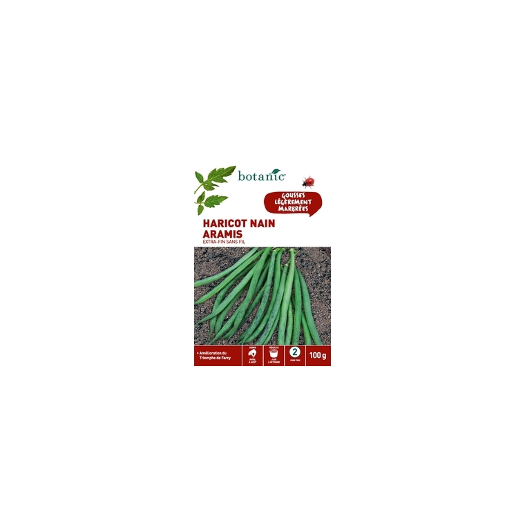 Haricot nain aramis extra-fin sans fil 100 gr