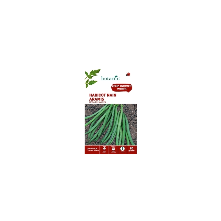 Haricot nain aramis extra-fin sans fil 80 Graines