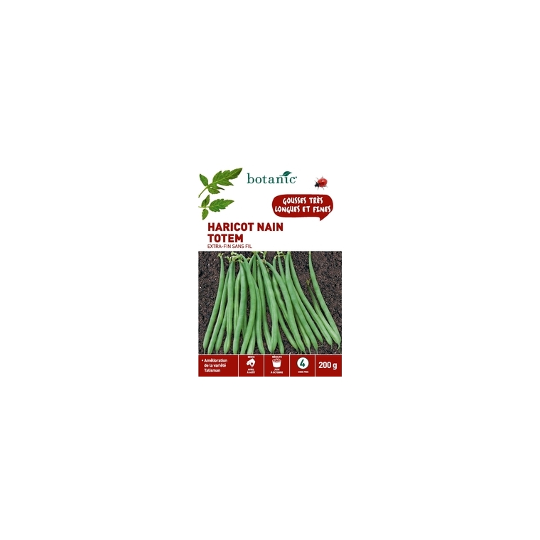 Haricot Nain Totem Extra-Fin sans Fil 200 gr