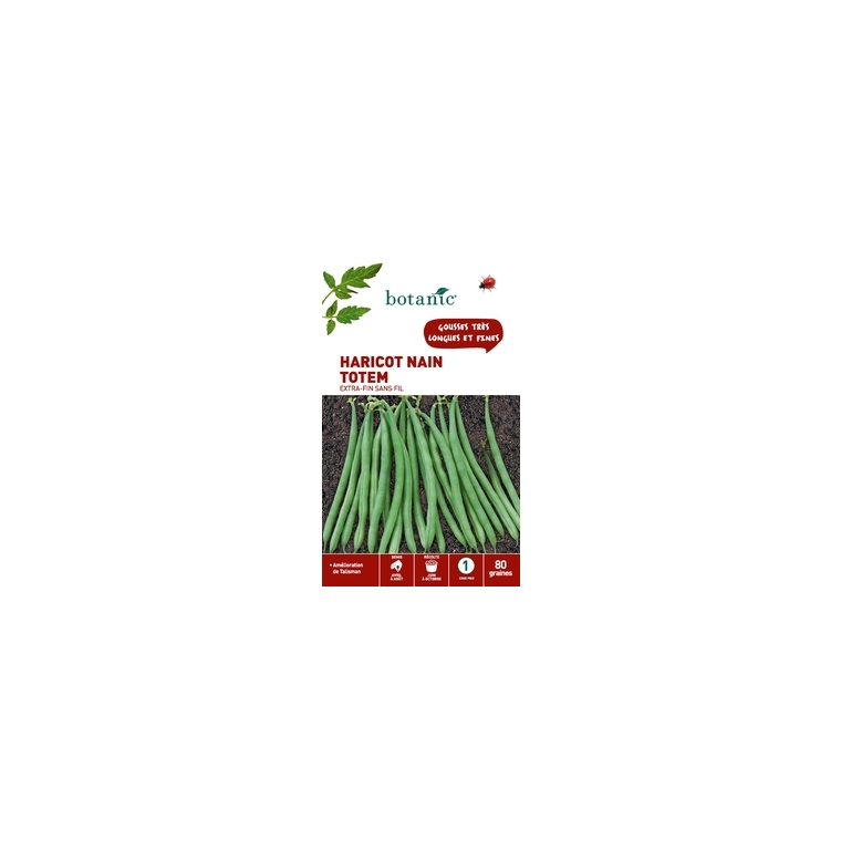 Haricot nain totem extra-fin sans fil 80 Graines