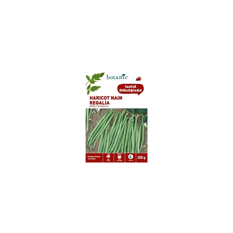 Haricot Nain Regalia Extra-Fin sans Fil 200 gr