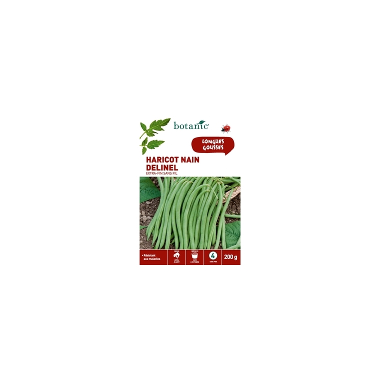 Haricot Nain delinel Extra-Fin sans Fil 200 gr