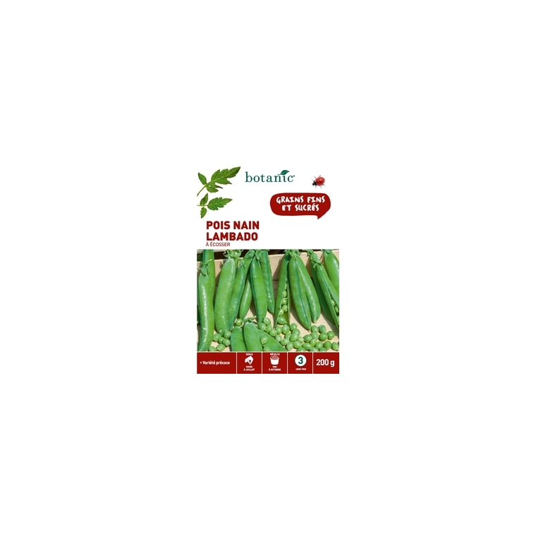 Pois Nain Lambado à Écosser 200 gr