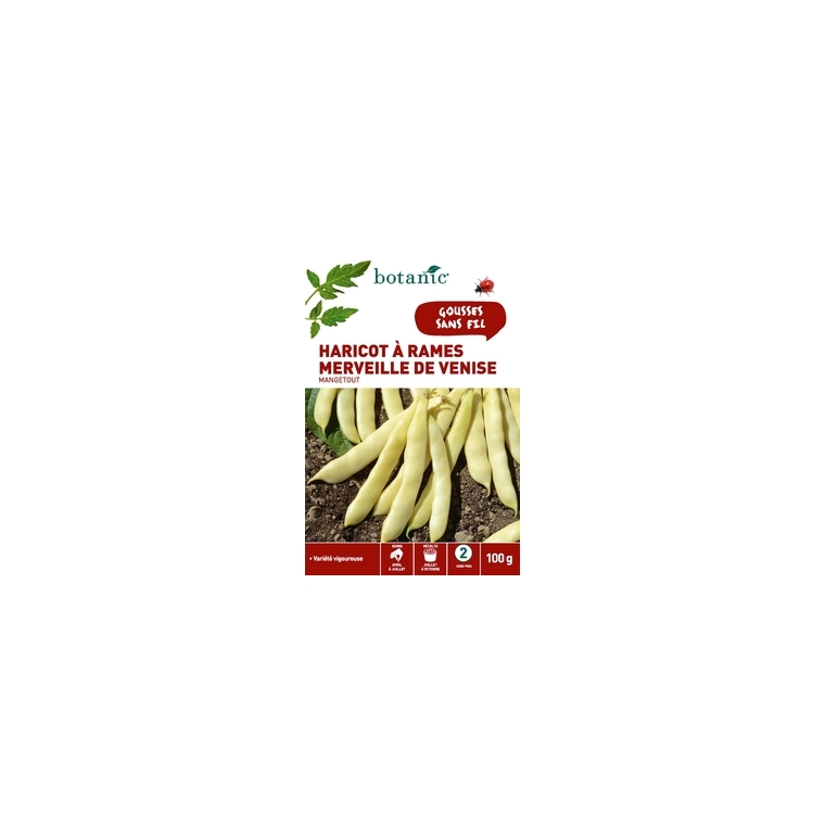 Haricot a rames merveille de venise mangetout 100 gr
