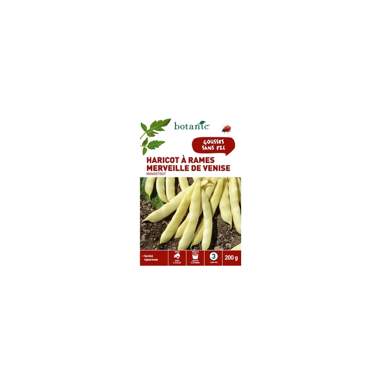 Haricot à Rames Merveille de Venise Mangetout 200 gr