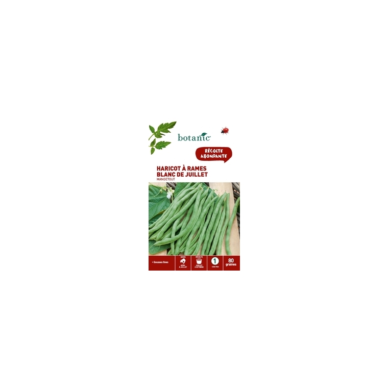 Haricot a rames blanc de juillet a rames mangetout 80 Graines