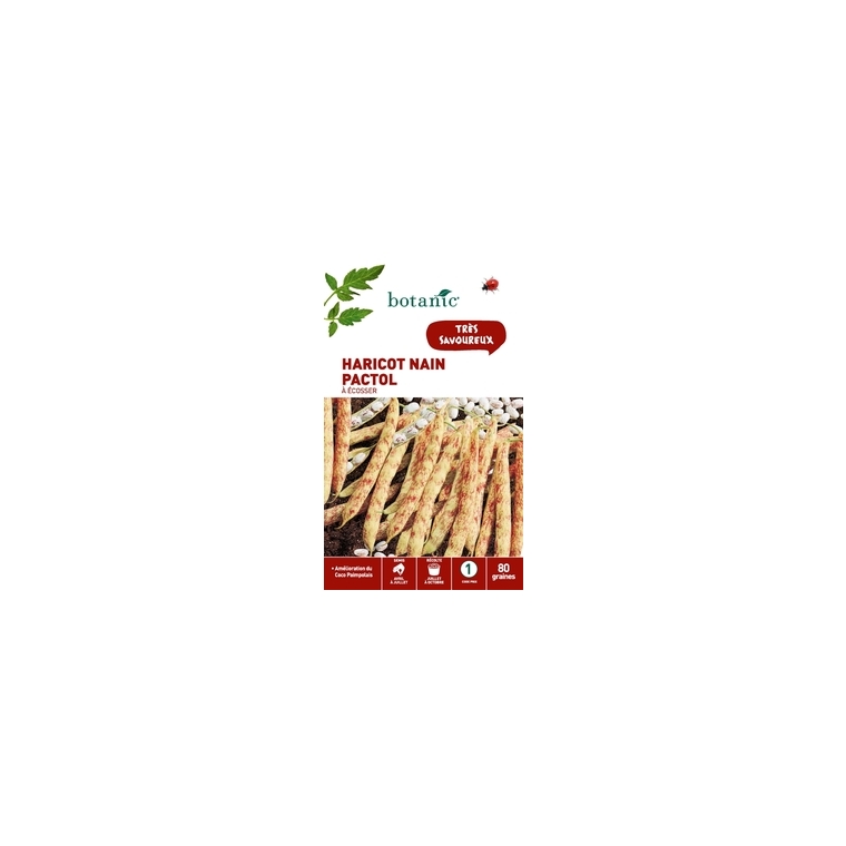 Haricot nain pactol a ecosser 80 Graines