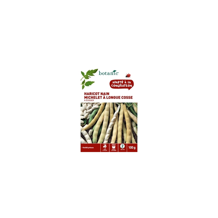 Haricot nain michelet a longue cosse a ecosser 100 gr