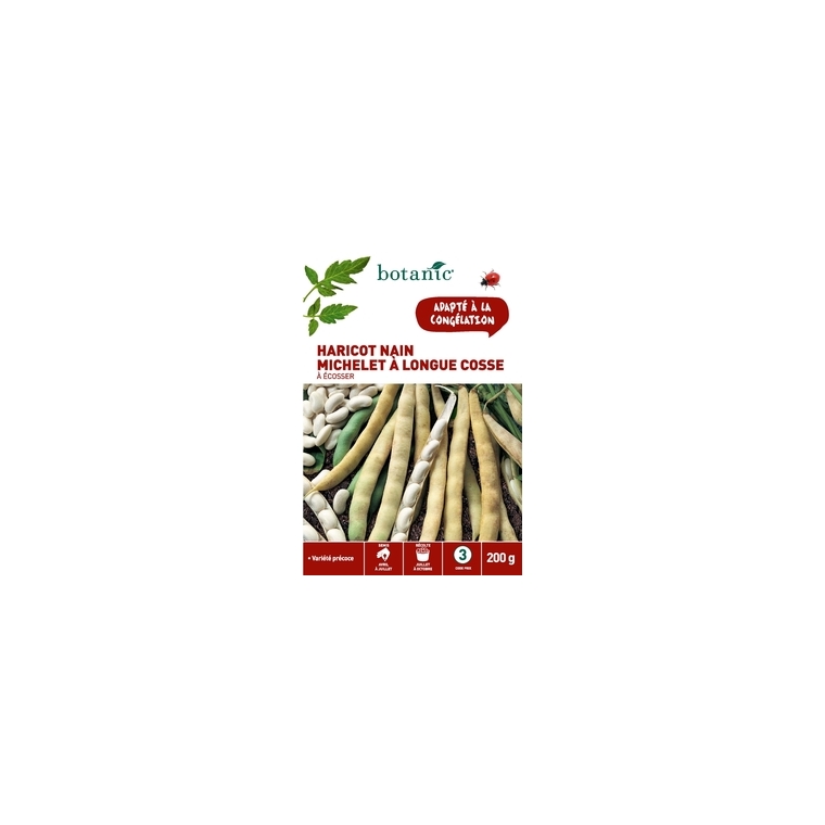 Haricot Nain Michelet à Longue Cosse à Écosser 200 gr