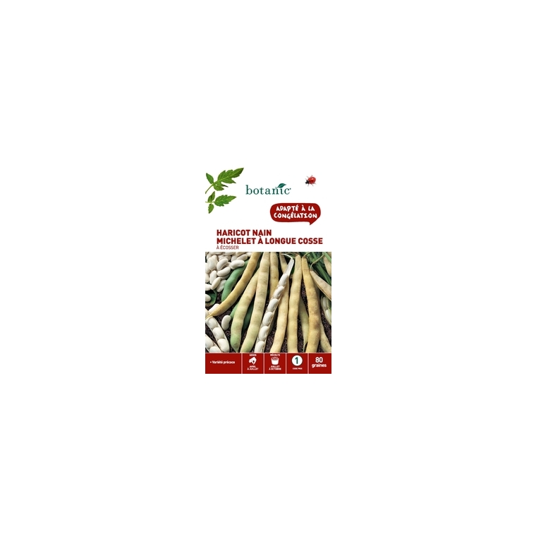 Haricot nain michelet a longue cosse a ecosser 80 Graines