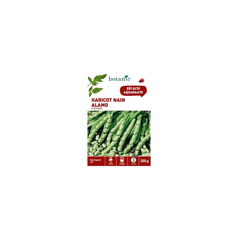 Haricot Nain Alamo à Écosser 200 gr