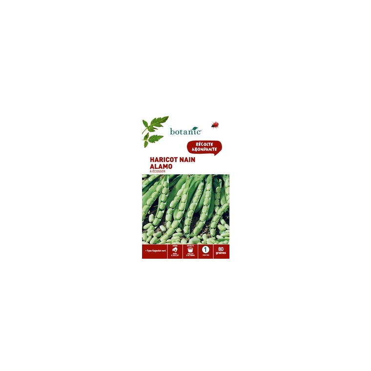 Haricot nain alamo a ecosser 80 Graines