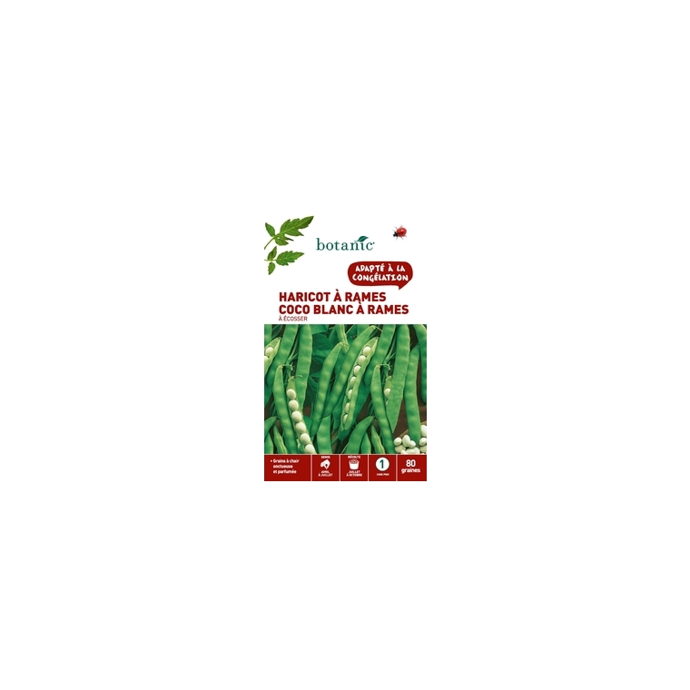 Haricot a rames a ecosser coco blanc a rames 80 Graines