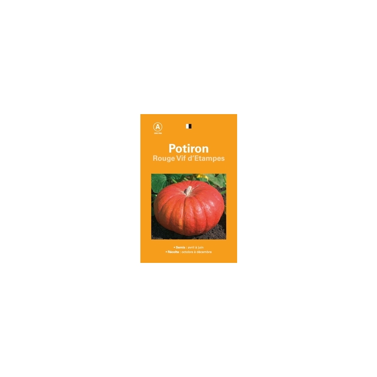 Potiron rouge vif etampes