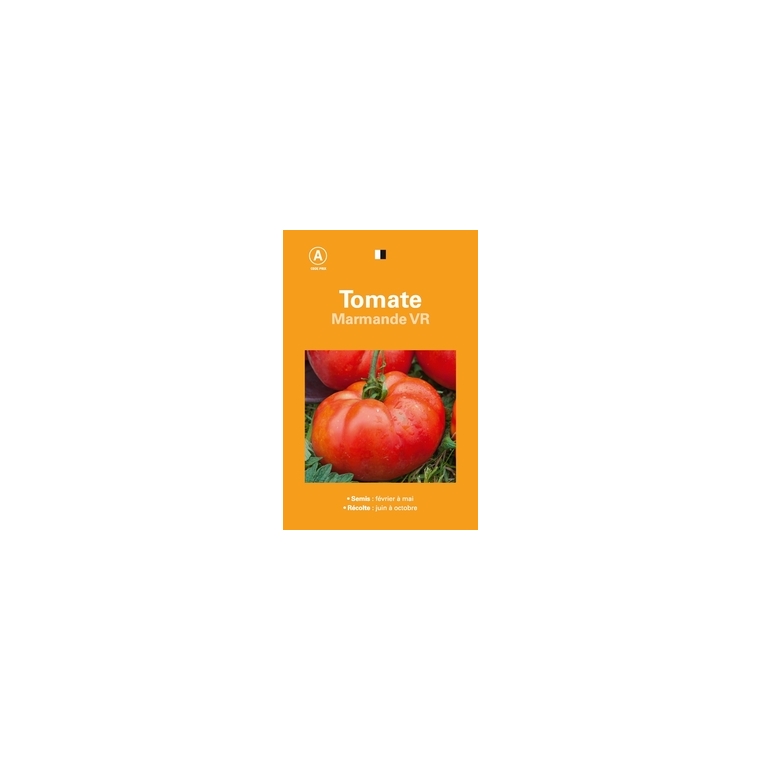 Tomate marmande